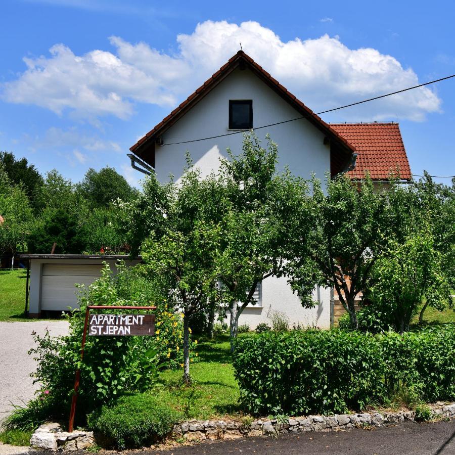Apartment Stjepan Rakovica Exterior photo